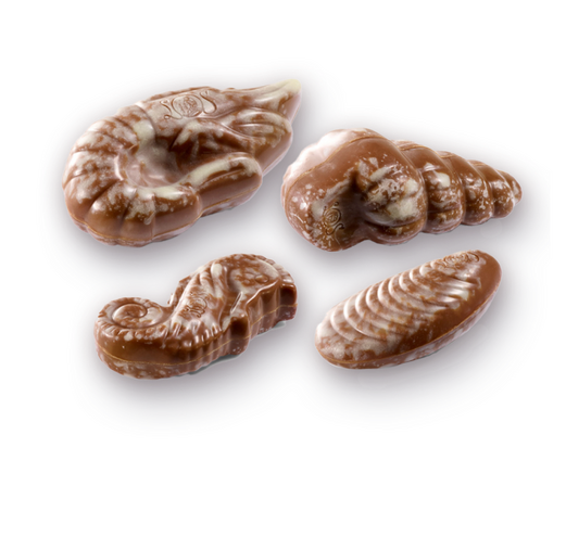 Κοχύλια (Seashells)