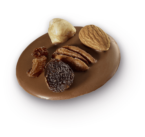 Μεντιάν Γάλακτος (Mendiant Milk)