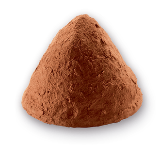 Τρούφα Σπεκουλός (Truffle Speculoos)